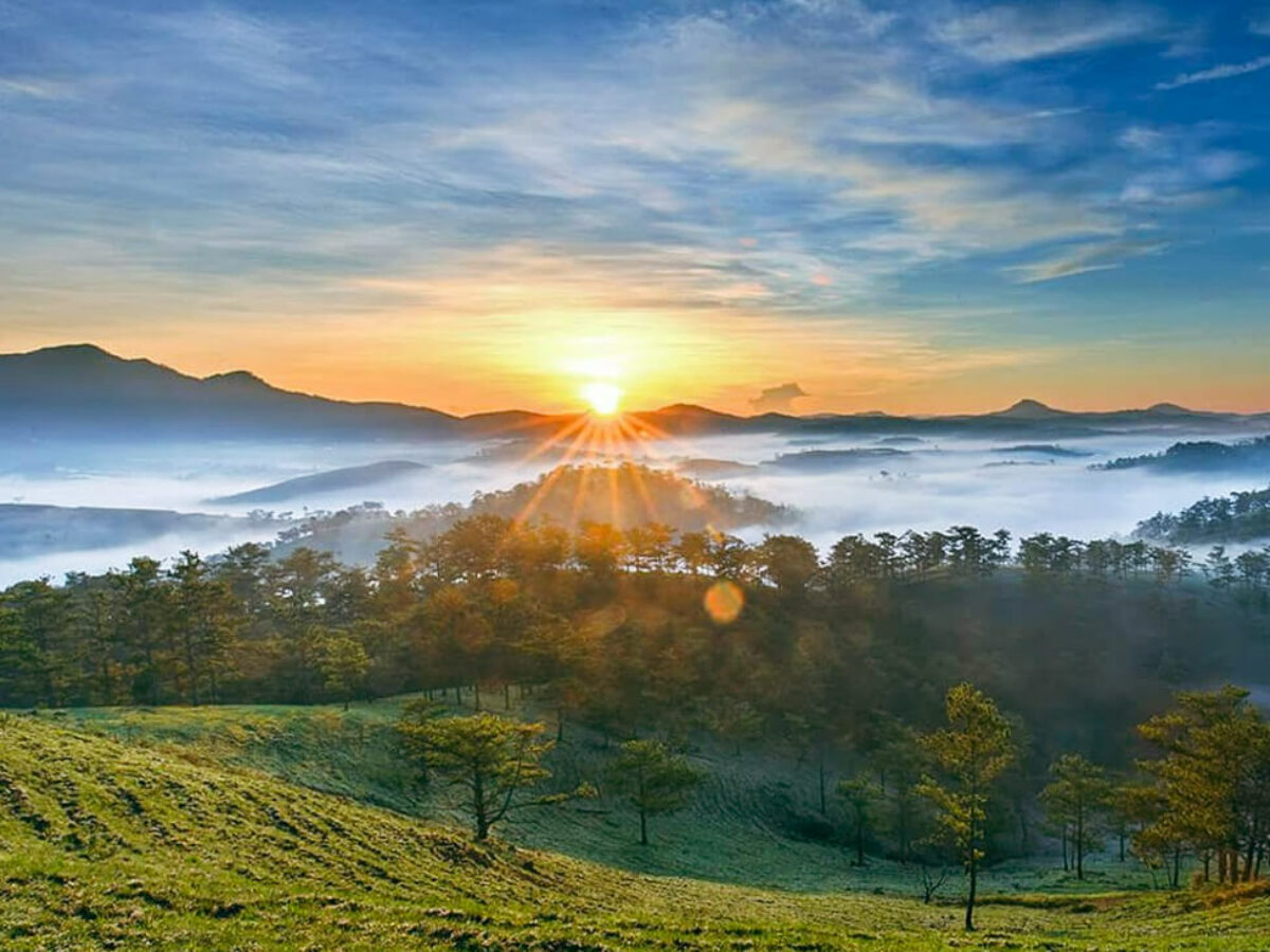 Đồi Đa Phú Đà Lạt
